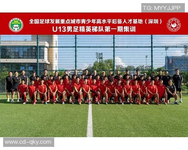 南京足球队配合策略深度解析与其他球队的对比分析